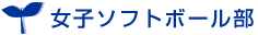 ���q�\�t�g�{�[����